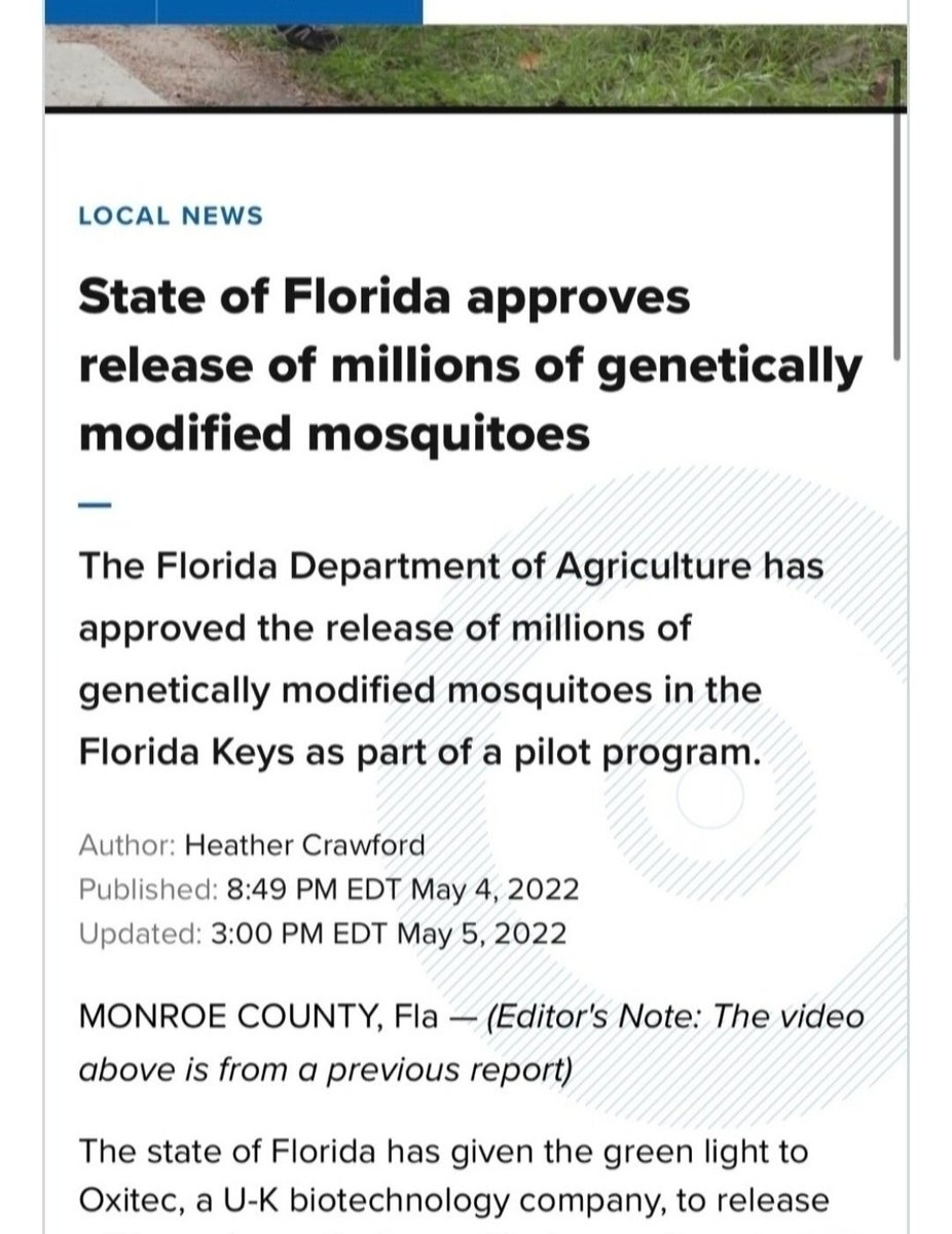 BirdLov62991644's tweet photo. Been done before in Monroe County #Florida by @BillGates 
#oxitec @oxitechuk 
@GovRonDeSantis did NOTHING to stop it.
@EPA 
GENETICALLY Modified Mosquitos
2020-2022 https://t.co/4vsbchhX6L