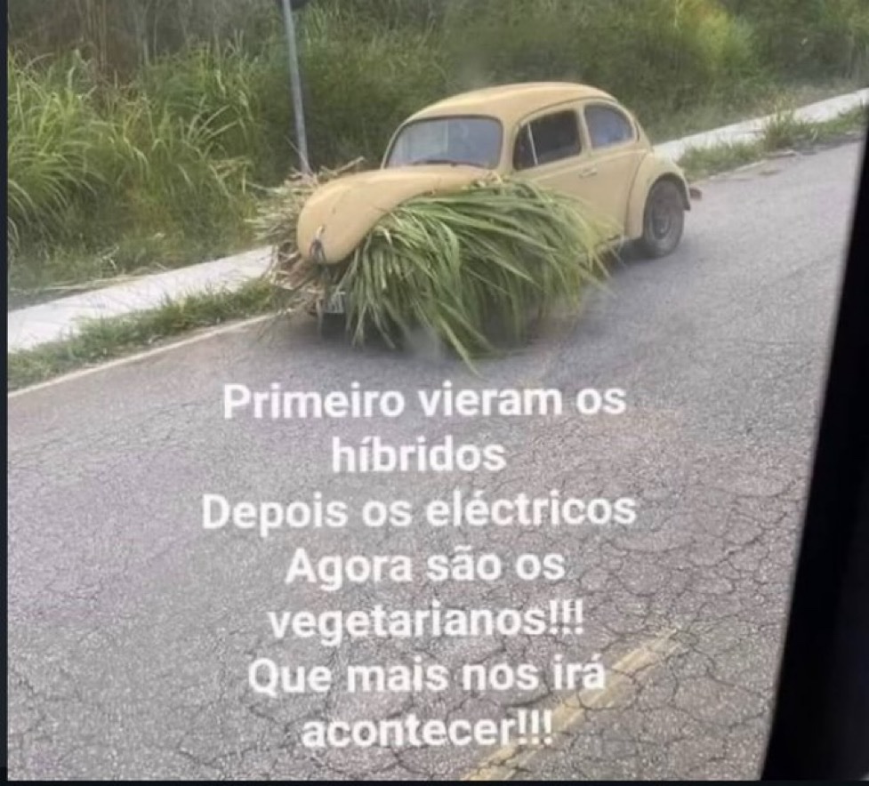serirvaipinfern's tweet photo. https://t.co/qJeo6YYgGK