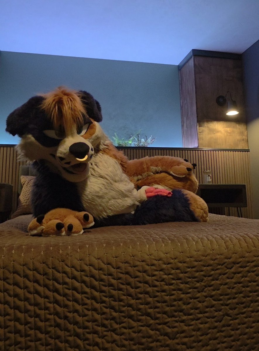 SpicyFluffButt's tweet photo. You wouldnt keep this puppy brained mutt waiting now would you~ 😘

#murrsuit #gay #nsfw https://t.co/Rx6IzSaby1