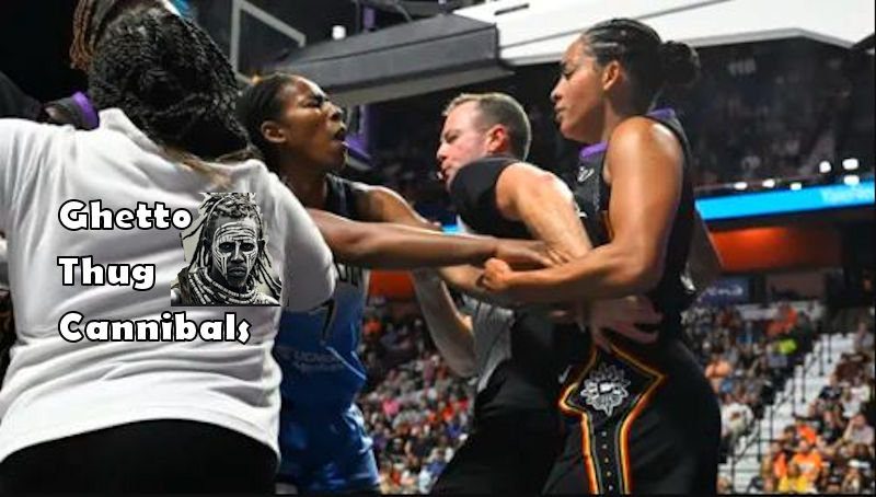 Hoyt_Pauer's tweet photo. @Martina @nytimes @TheAthletic @WNBA Thank you Martina , for standing up for women against Woke.
Don't watch ghetto thugs going after each other like Woke cannibals.   It's Boring
We can see the  WNBA is a corrupt disgrace.  The refs need to be ejected from every game. https://t.co/DySgAlbGFE