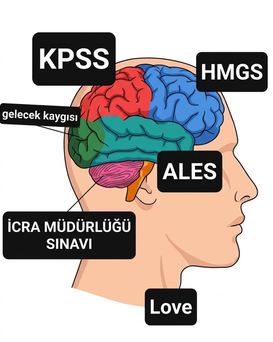 muratulger_'s tweet photo. HUKUKÇU KAFASI https://t.co/GvFigi1XBW