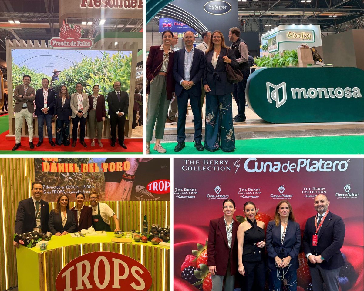 CesurEdelSur's tweet photo. 🌱Del sur para el mundo: nuestros socios brillan en Fruit Attraction 2026.

📍Durante la XVIII edición de @FruitAttraction  en @IFEMA, hemos acompañado a una gran representación del Sur España conociendo sus grandes proyectos.

🙌🏻 ¡Enhorabuena!

👀 https://t.co/WVw7T2gMCc https://t.co/nMeBvYUXaB