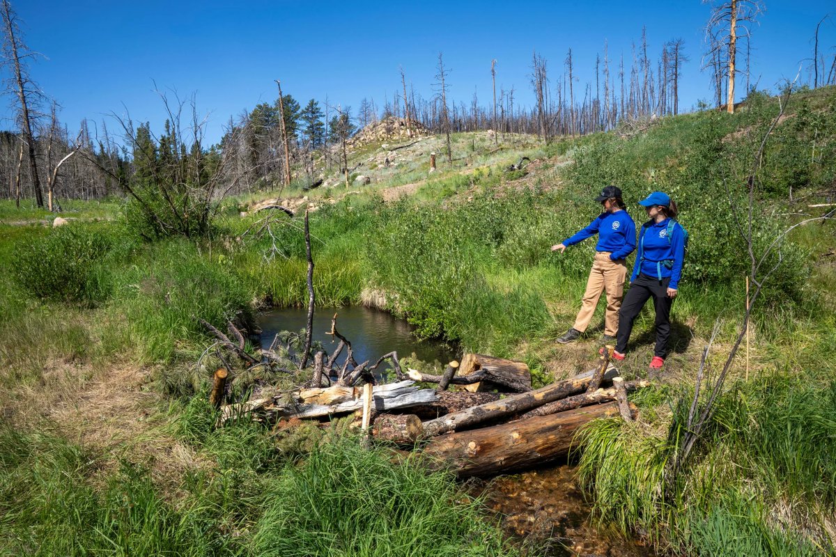 SaveWorldRivers's tweet photo. Why Don't We Do "On-The-Ground Ecological Restoration?"

We often get asked by the public and donors why we focus on fighting against proposed new dams and diversions, and supporting Rights of Nature for Rivers, instead of on-the-ground "ecological restoration."

Here's the answer:

First, we certainly agree that on-the-ground ecological restoration is very important. Our watersheds in Colorado and across the American Southwest have been severely degraded and much (MUCH!) on-the-ground ecological restoration needs to occur.

Second, we acknowledge that supporting groups that do ecological restoration is important, and seeing people working in our rivers -- rebuilding wetlands, expanding floodplains, builder beaver dam analogs, etc. -- is a powerful visual as well as a powerful way to engage the public, media, and the membership of NGOs in the support of rivers.

Third, in addition to doing ecological restoration, we believe our work must also be funded and supported because we actually PROTECT THE FLOW OF WATER IN RIVERS by working to stop proposed new dams and diversions, and by supporting the legal Rights of Rivers to exist. Ecological restoration may be pointless if it's not coupled with efforts to Protect and Restore the flow of water in rivers. Without water, there's no ecology to restore.

Finally, we fully realize our work is confrontational and controversial, while ecological restoration is collaborative and not controversial. But, we are fully informed about how water law in Colorado and across the American Southwest is literally designed to get every single drop of water out of rivers and drain our rivers bone dry. That law is supported by the entire political and economic apparatus as well. There are well over 25 proposed new dams and diversions -- with more coming -- in Colorado and across the American Southwest (listed on our website here: https://t.co/VEgoYsUEUX). Someone needs to do everything possible to address that threat.

Working together -- ecological restoration + river protection -- we may be able to make a difference in the future of rivers. We believe rivers have a right to exist, flow, and thrive. We believe rivers are ALIVE, and we will continue to fight to protect them.