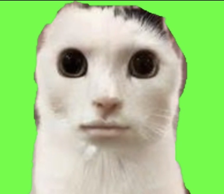 PamPan_2's tweet photo. Grok猫ミームすぎるやろっていつも思ってる https://t.co/BYn3MV0QCo
