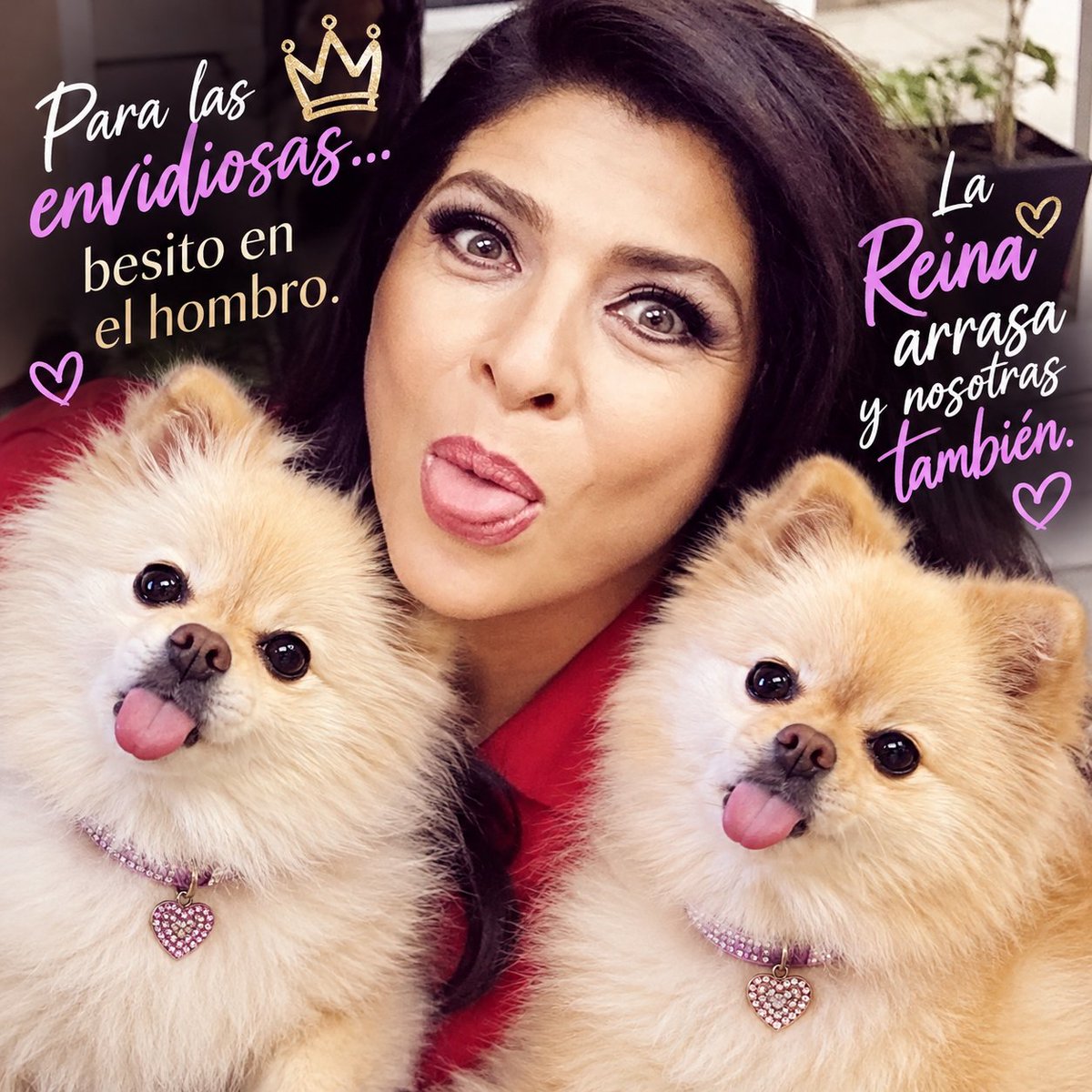 CocoChanelRufo's tweet photo. Ser así de única e increíble no es para quien quiere, sino para quien puede. 👑❤️
#ruffo #Victoriaruffo #preciosa https://t.co/E4USalESqZ
