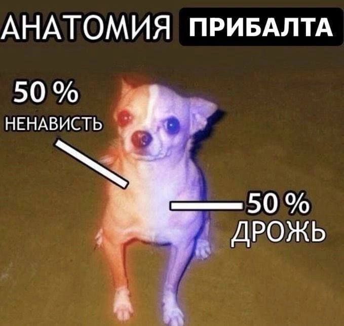 a_fucking_case's tweet photo. @Ulianalive Нужно немедленно приложить иллюстрацию https://t.co/pmpBN3OGE1