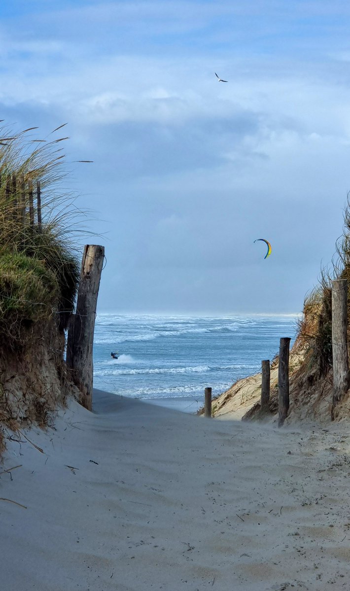 celine29m's tweet photo. L'appel du large au bout du chemin...
📍Spot de la Torche 🌊
#Bretagne #Finistère #PaysBigouden #Bzh https://t.co/5ZBRNWmL75