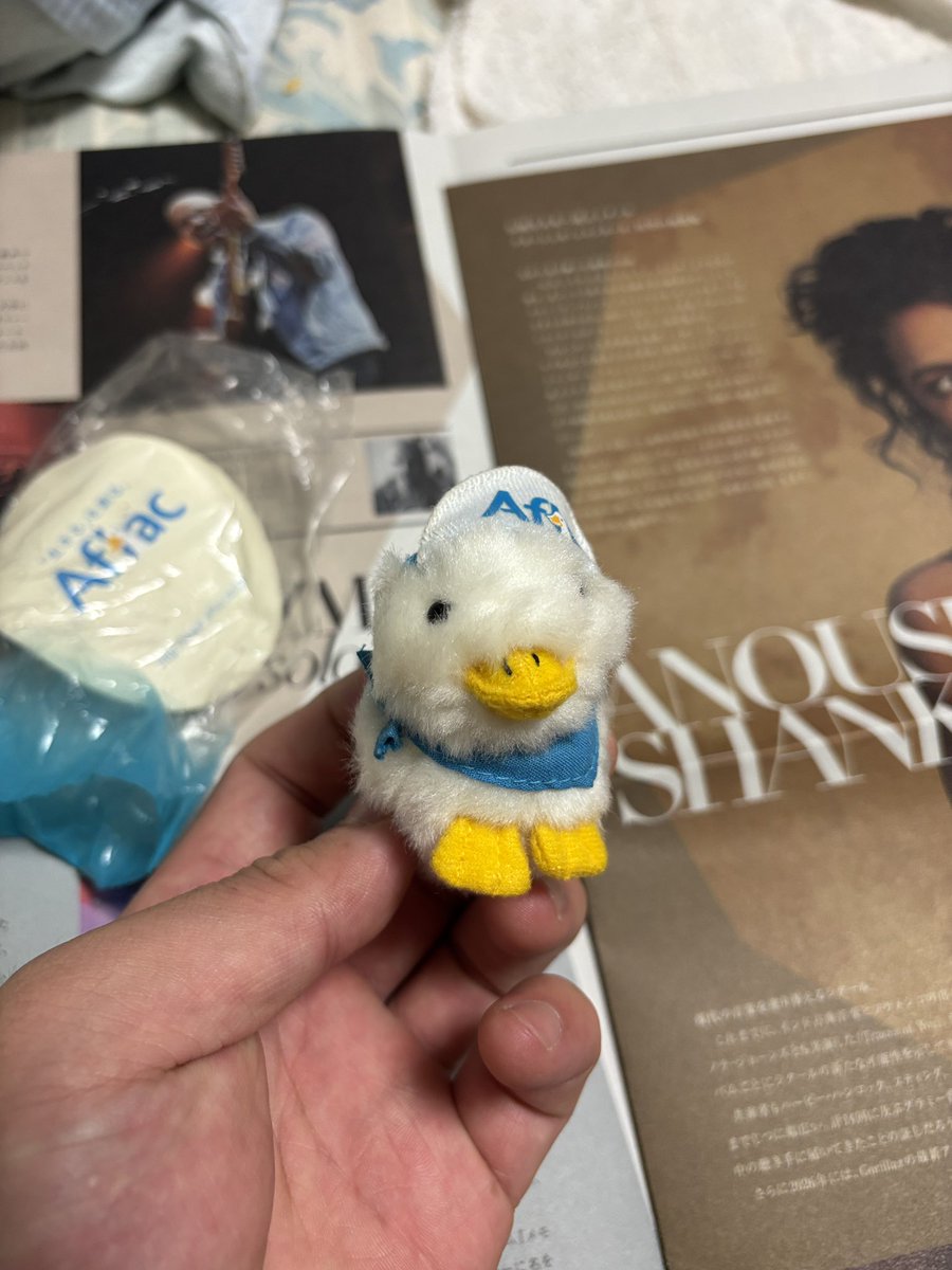 JobanlineS's tweet photo. 寝てたら棚の奥から謎の電子声で目覚め

「ﾖｰｸ ｶﾝｶﾞｴﾖｰ ｵｶﾈﾊﾀﾞｲｼﾞﾀﾞﾖｰ ｱﾌﾗｯｸ‼︎」

カッターで背中を切り開き液漏れした発声部を摘出し本体もろともゴミ箱へ…2度と喋るんじゃねえぞ https://t.co/tCpaKg0gS7