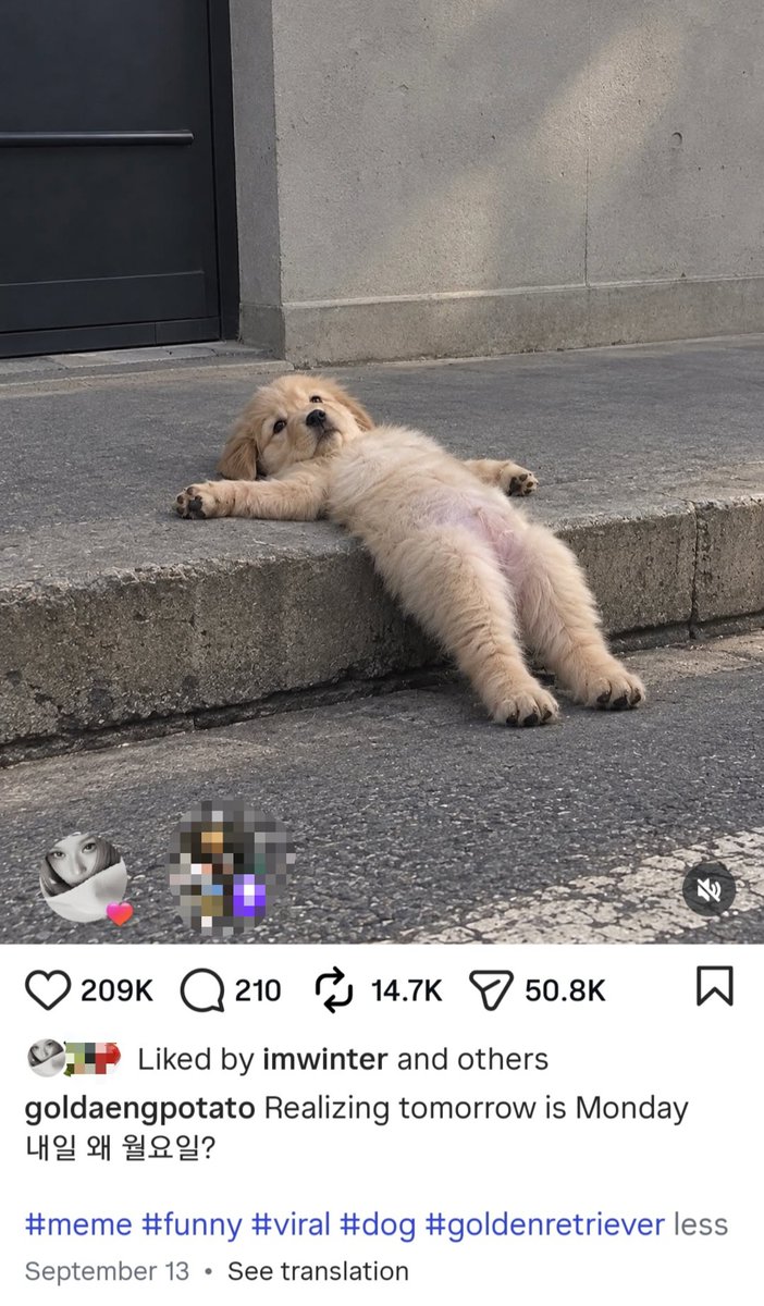 winteraphy's tweet photo. WINTER liked this instagram post!

Relatable 😂😂 https://t.co/1hFxHDlCqD