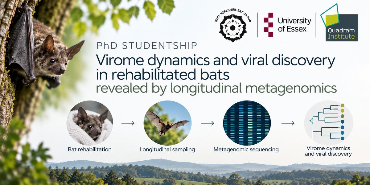 stathisgiotis's tweet photo. Fully funded PhD opportunity in Bat Virology &amp; Metagenomics! Join our lab at @Uni_of_Essex, with @QuadramInst and West Yorkshire Bat Group, to study bat viromes and discover viruses using metagenomics.
NERC ARIES Deadline: 16 Dec 2026
Apply: https://t.co/zzqBcBD9H1
Please share! https://t.co/pGxEoj26YF