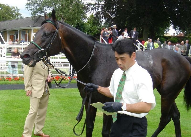 timelyrobuni's tweet photo. with rob roys release have you seen this lobby convo?! did you know that during rhe 2005 juddmonte international stakes, his groom (yasuyuki kawagoe) and rob roy won the best turned out award!! which is probably what inspired this bit of lobby convo https://t.co/L1h0fagz4Z