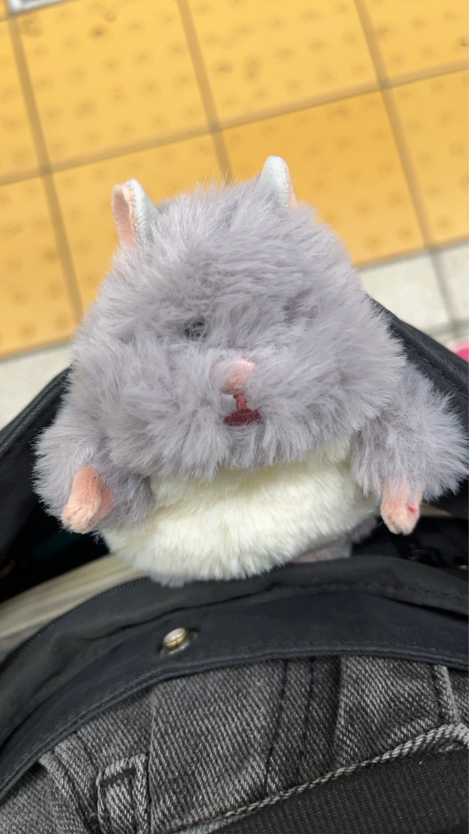 Ru__sss's tweet photo. やばーーーーい、野生のはむにぎりと巡り会えて迎え入れちゃった🥳 うちのこ🥳 帰ったらカットする🥳 https://t.co/9G4UCvdWQU