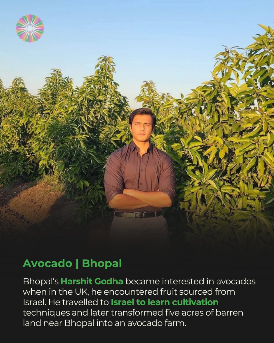 indiahouseusa's tweet photo. India still imports several exotic fruits, but farmers across the country are showing that many can be cultivated locally.
👉Swipe!
#IndianFarming #IndianAgriculture #Farmers #Horticulture #MadeInIndia #SustainableAgriculture #CircularEconomy #India https://t.co/bDTDFyNBND