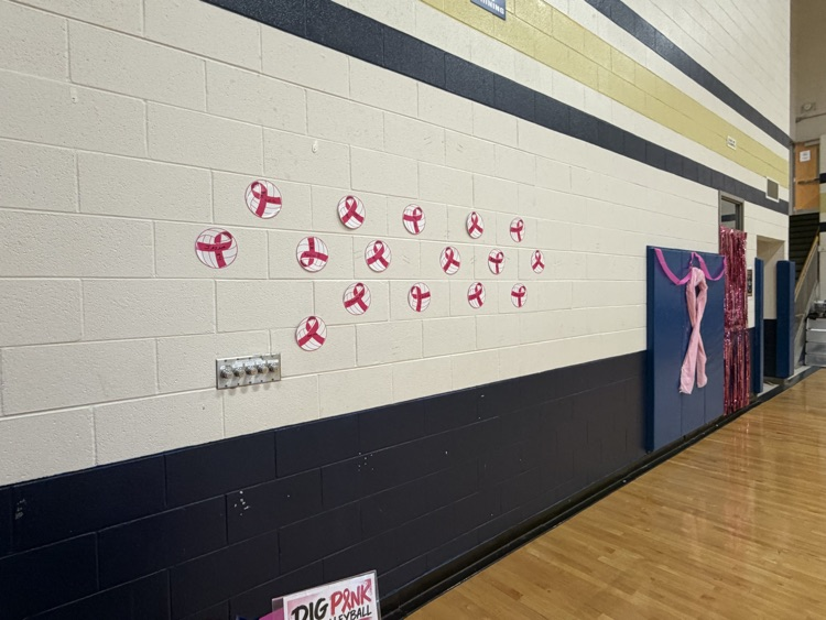 CMSGoBlue's tweet photo. 💗🏐 **DIG PINK WIN!** 🏐 💗

Our Dig Pink Volleyball Game raised $691 for the Side-Out Foundation in support of breast cancer awareness—and CMS brought home the WIN! 💙💛

Thank you to everyone who came out, supported our team, and helped make a difference! 🎀 https://t.co/l6qWCUi0Pt