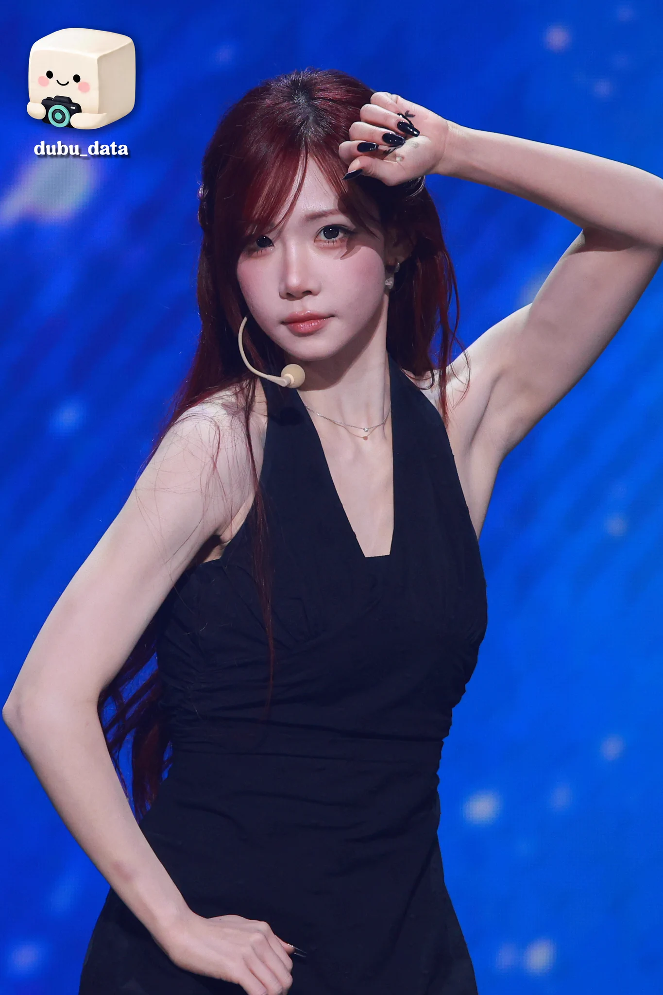 Dubu data on X: 