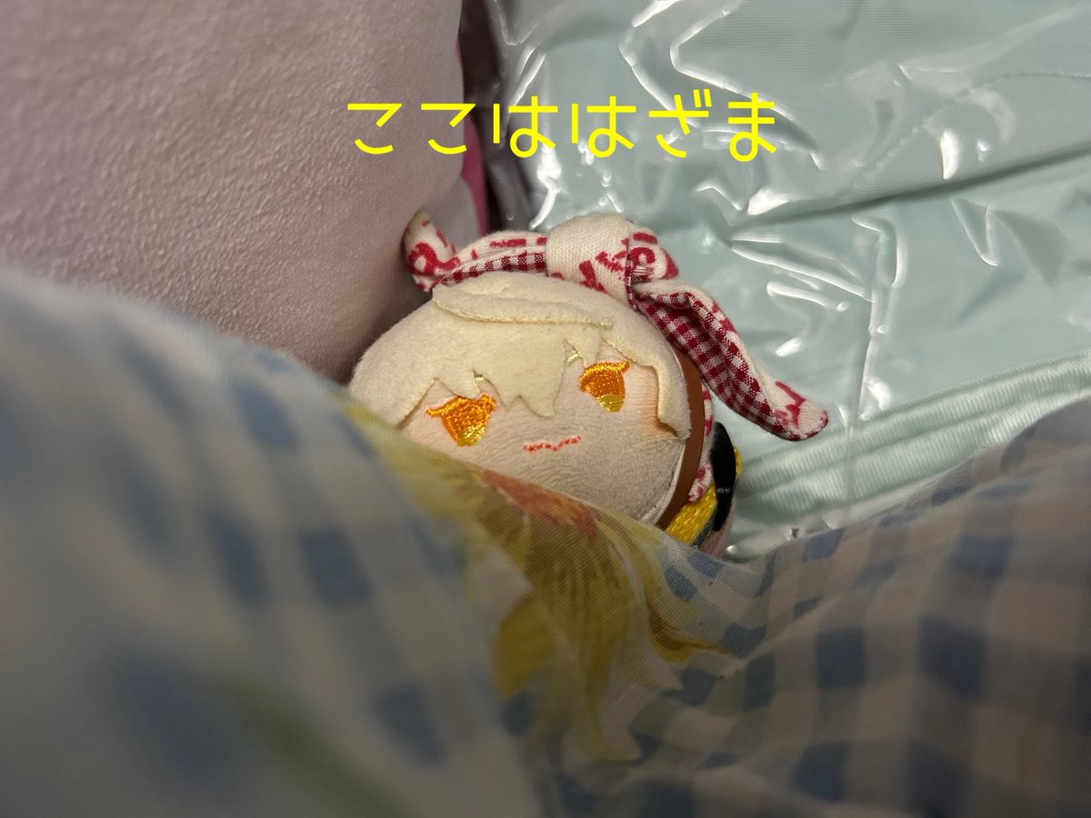 chachalip's tweet photo. ひげちゃん、なんか挟まってるから何してんの？って聞いたら「たんきしゅつじん」って言われた。

🦁ここは〜はざま〜♪

#りさ家のもちもち https://t.co/AubktRmqz7
