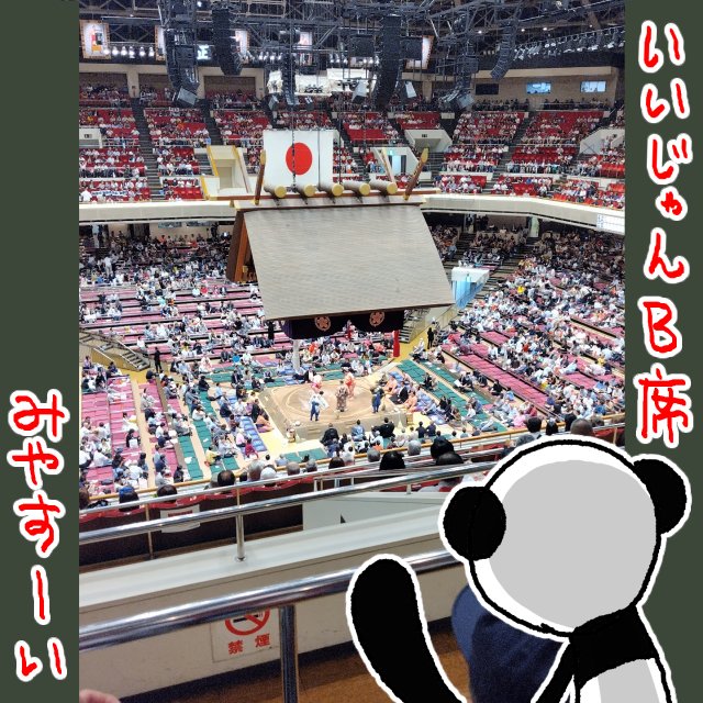 iyapanda's tweet photo. 10がつ8にち
#すろーばっくさーずでー 
先月の相撲観戦書いてなかった！！！

今回当てたのが初の二階B席でして…
ここ良いな！見やすいしお値段も高すぎず。（席料5000円・D席とかもっと安いけど階段登るのが急だし大変なのです）

今回の目標だった大の里アイスも無事購入出来たけど、ちゃんこ列に並んでる間に溶けちゃってパッケージから出して写真撮れませんでした～😅
（棒からもげた）

あ、そうだった大の里関優勝おめでとうございます
大の里寿司とても美味しかったのでオススメでーす

コレは豆知識なんですけど人気のお寿司やお弁当は売り切れちゃう事があるので保冷剤＆保冷袋持ってって早めに売店で買ったら入れておいて、中入後とかに食べるのがヨイですよ
