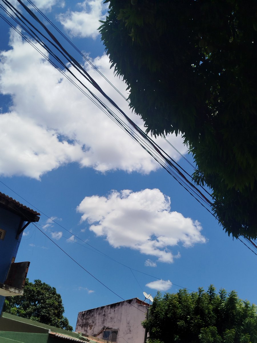 Harry158303's tweet photo. @poptime Nosso nordeste lindo com o céu mais limpo do Brasil. ❤️‍🩹 https://t.co/3lSqtU8pEy