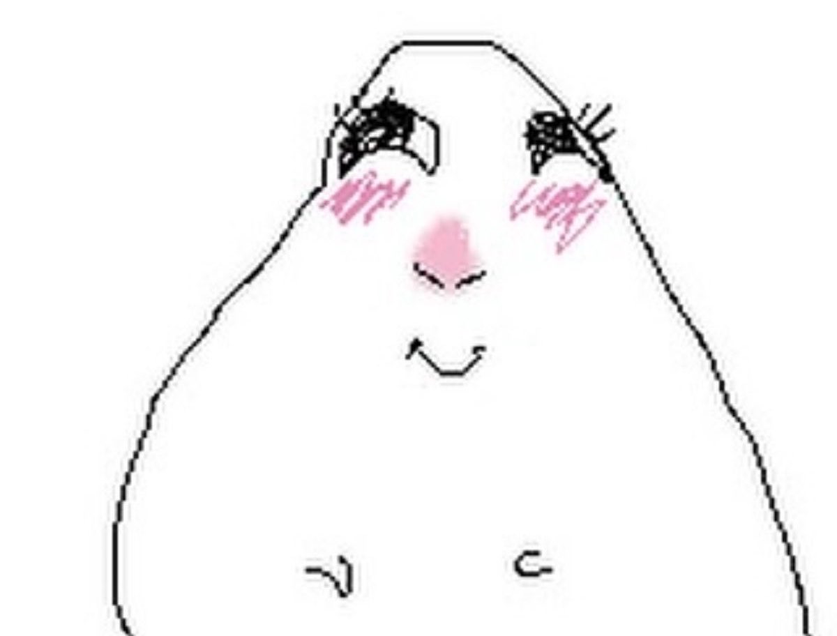 user6907558's tweet photo. serious note thanks 4 all the support i did not expect to blow up like this lol<<33 https://t.co/QDLsqzn6WL