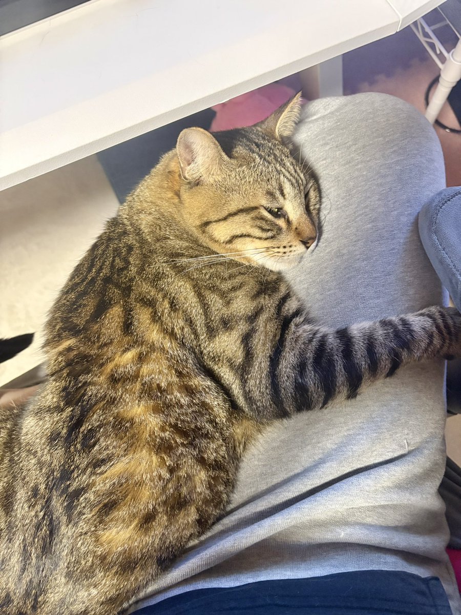 cs11260909's tweet photo. なにがなんでも
ひっついてたいぼくちん https://t.co/Jznz5uWXma