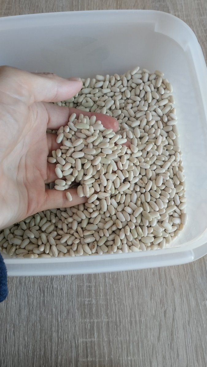 MarionB1245's tweet photo. La récolte des TIC TAC semences est en cours... 😅
#semences
#haricots
#ceuxquifontlesessais https://t.co/dobGjSvZlu