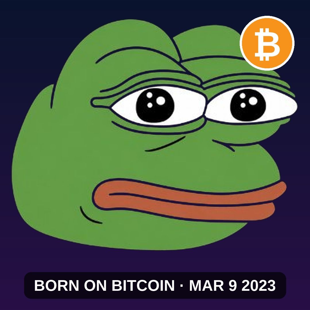 Qyvrax's tweet photo. ⏱️ Trap question.
Most people reverse this.

original pepe BRC-20 tick (Mar 9 2023)
vs ETH PEPE fame:

🅰️ Bitcoin tick came after the fame
🅱️ Bitcoin tick came ~36 days before

👉 Reply A or B.
Don't peek. https://t.co/b4mX5k8G1L
