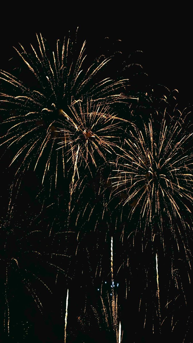 Yuno0612316's tweet photo. 花火見たいね🎆
（↓今年見た花火の写真）　#花火 https://t.co/ExtkFrCCmQ