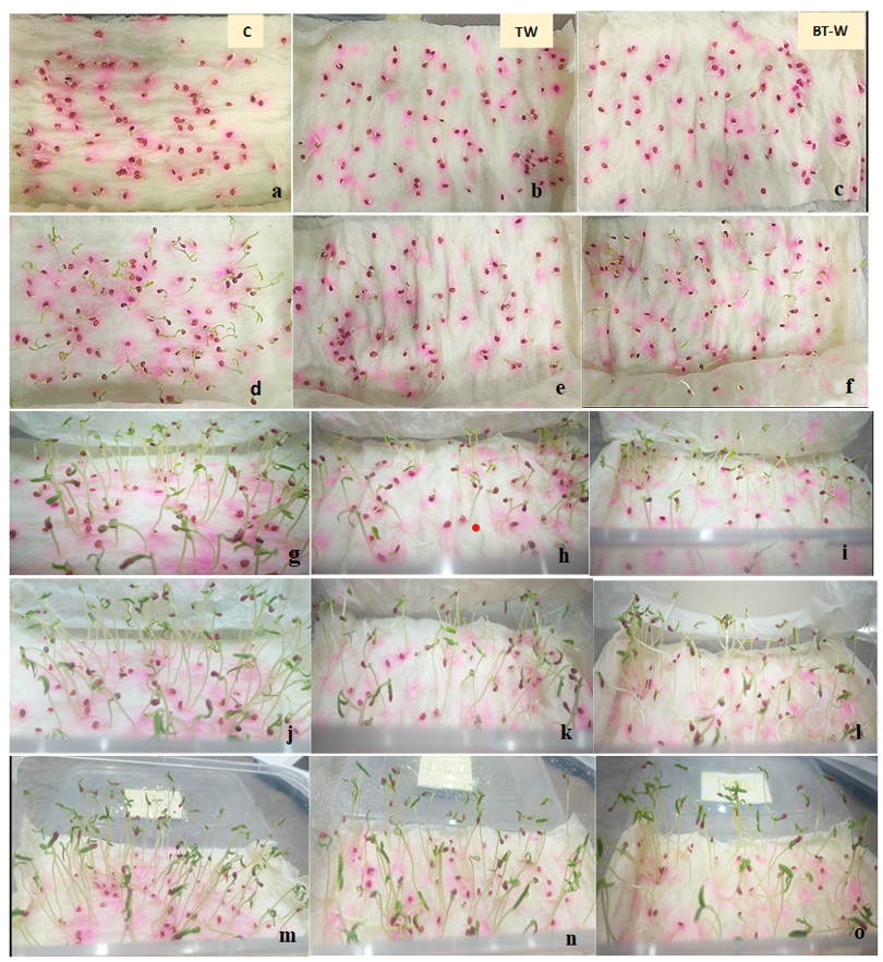 BioResJournal's tweet photo. Textile #wastewater can harm plant growth—but bacterial biotreatment may offer a solution. A bacterial consortium removed ~86% COD &amp; >80% TSS while reducing phytotoxicity in tomato seedlings.

Explore the findings: https://t.co/hEhSIePlG9

#Bioremediation #BioResJournal https://t.co/l5Q5OUNmY4