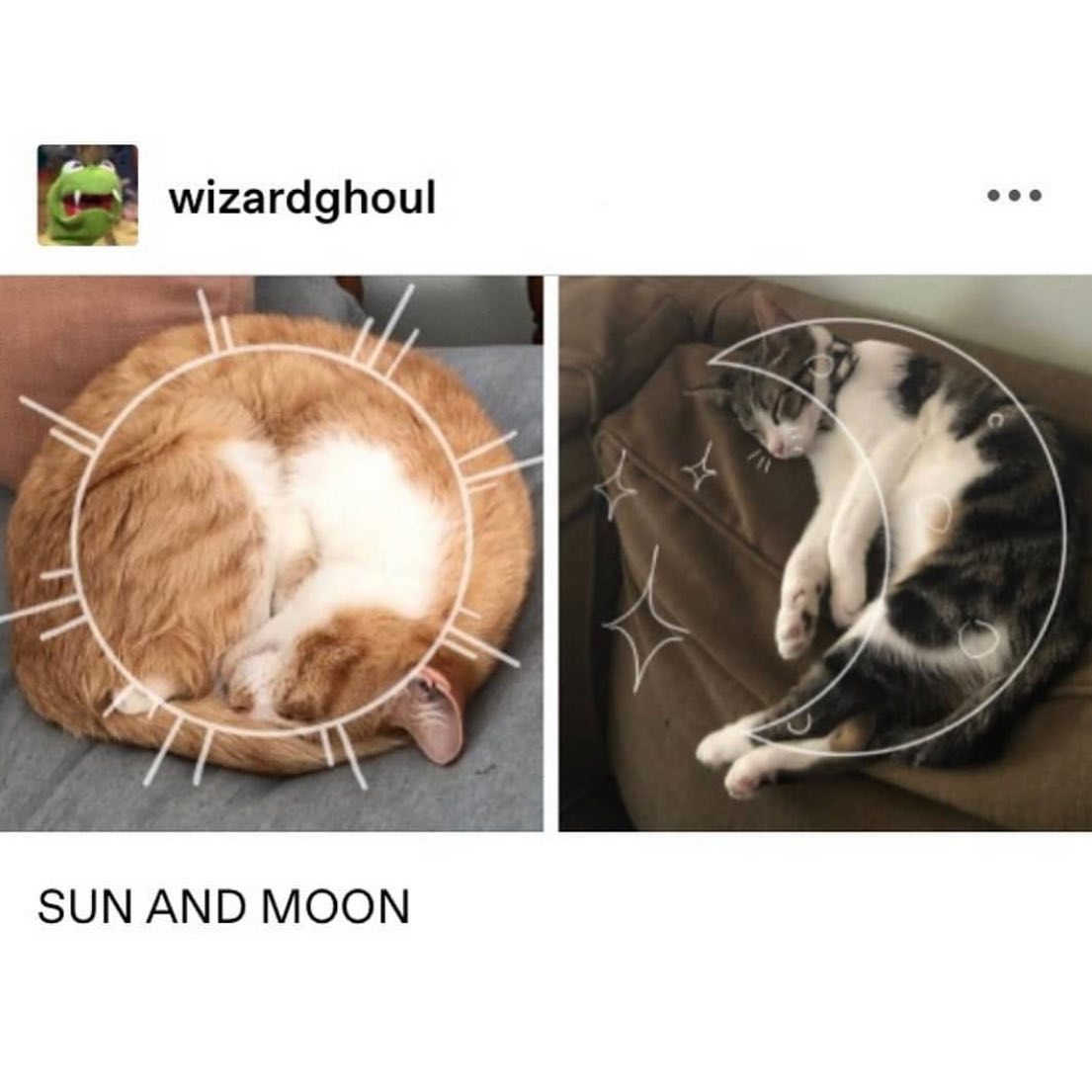 PunchingCat's tweet photo. https://t.co/Enp5okh1tP