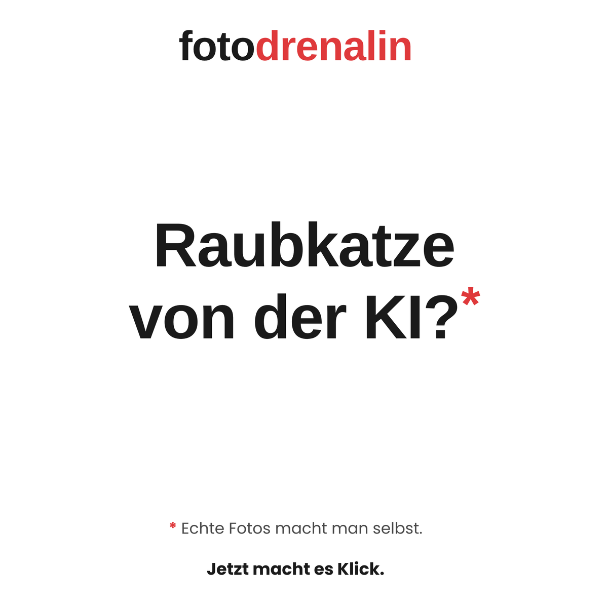 niederrheinfoto's tweet photo. #Erding #Bayern Raubkatze von der KI?* *Echte Fotos macht man selbst. Tierfotografie am De Wittsee, 27.03.2027. 👉 https://t.co/c9arelFPhV https://t.co/J9Hl2f8Q5f