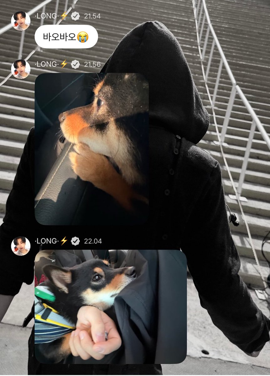 xinlonggu's tweet photo. looks like xinlong’s vacation is overㅠ https://t.co/jbzpTkwbvb