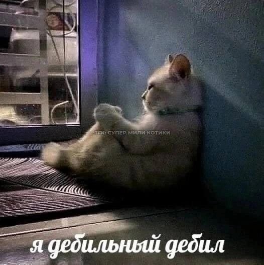 lohrusha158's tweet photo. это кошмар,у меня появляется зависимость твиттить и в целом заходить в твитт,в надежде,что уже все мной заинтересовались,хотят дружить и вообще я звезда https://t.co/pt6SbG6h6v