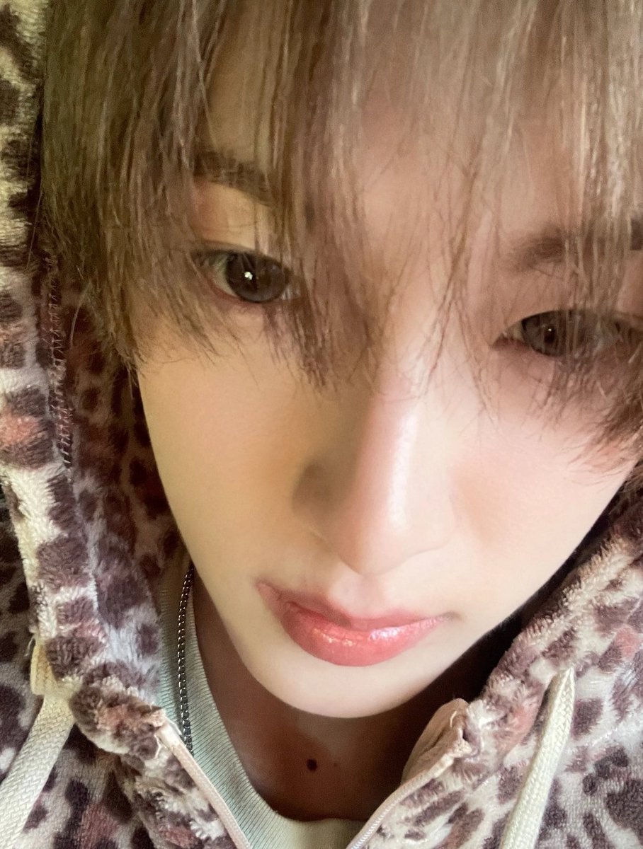 mvxluvx's tweet photo. 에반선배님좋아기니 우짬 ㅜ https://t.co/iF8vJEbQFz