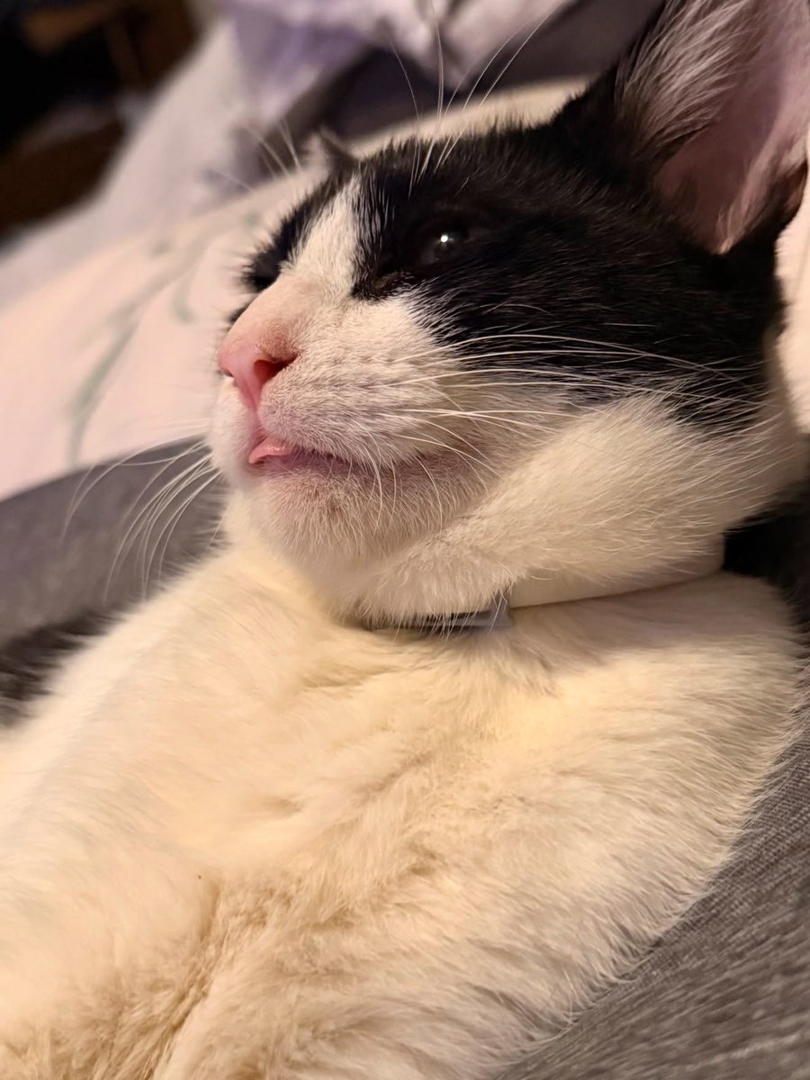 itimaliasof's tweet photo. A melhor sessão de fotos do mundo 👅 https://t.co/xL7EXbV6s0