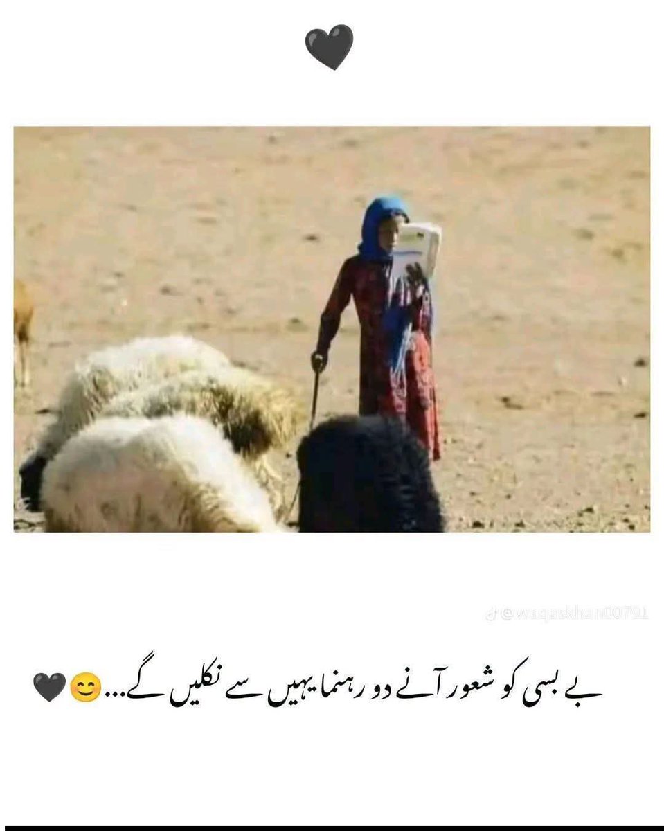 moosa_barech's tweet photo. بے بسی کو شعور آنے دو رہنما یہیں سے نکلیں گے ♥️ https://t.co/VkCdxGFn7V