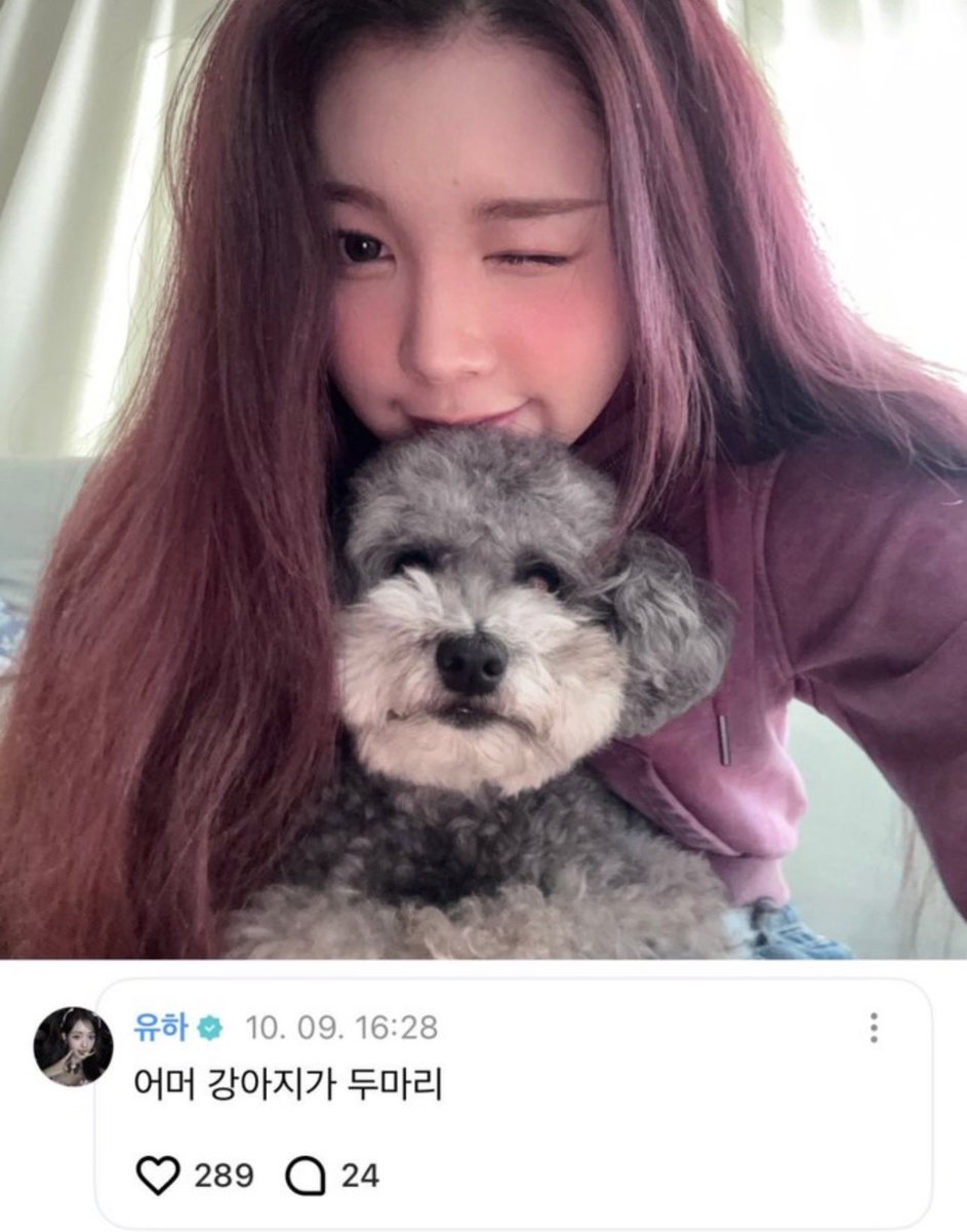 yuhapilled's tweet photo. 251009 🎀🌻

Yuha : oh my, two puppies https://t.co/ba9bdLEEUn