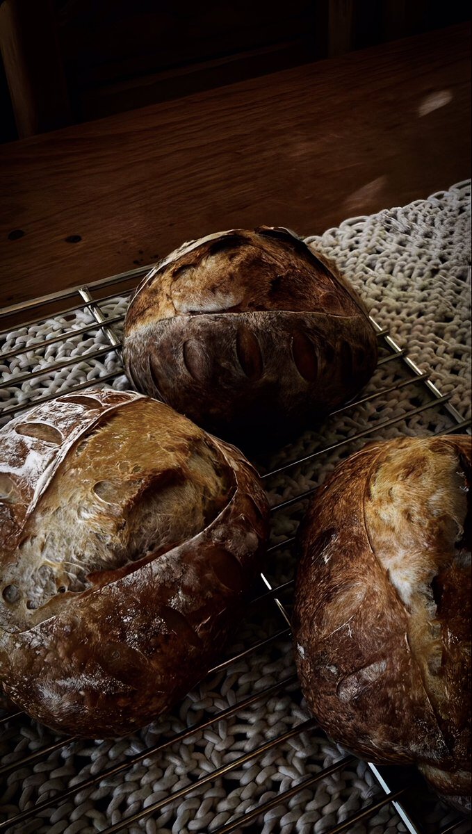 conjurebook's tweet photo. Specimen ⌑ ˻ Country Mornings ⎯ Farmhouse Dawn 􏰀 Fresh Bread 􏰀⸂ Rustic Fields ⎓ Morning Ritual 𝄒 % ⠀ Waking Up Slow ◖ ˑ Farmhouse Table ▭⠀Countryside Calm ↴ #FanPage https://t.co/fByFGc6TzQ