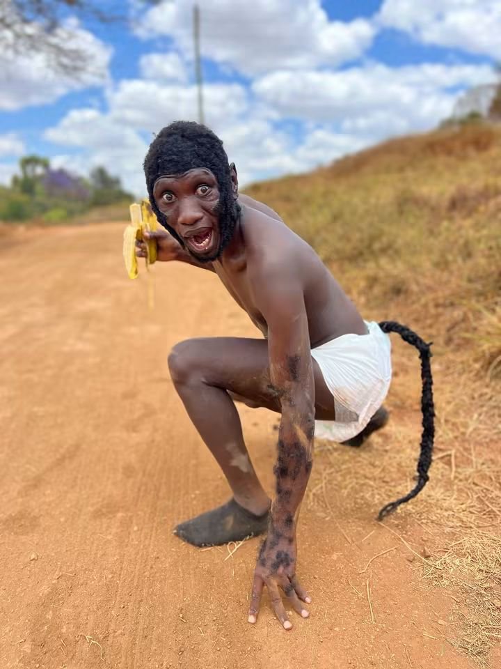 Mbusii_17's tweet photo. Stivo Simple Boy acting like a monkey while we are right in the middle of a war with South Africa is genuinely surreal.

Brother, could you not postpone your zoological exhibition until we finish dealing with these xenophobic allegations?

Just when Nigeria has decided to join South Africa after apparently seeing the country whose name sounds like a compass direction pointing toward the Atlantic Ocean lose the war.

Somebody please tell Stivo that we are not against his artistic expression. Not at all. But when visitors are around, we must maintain some diplomatic decorum. You cannot start behaving like a wildlife documentary while we are conducting international affairs buana