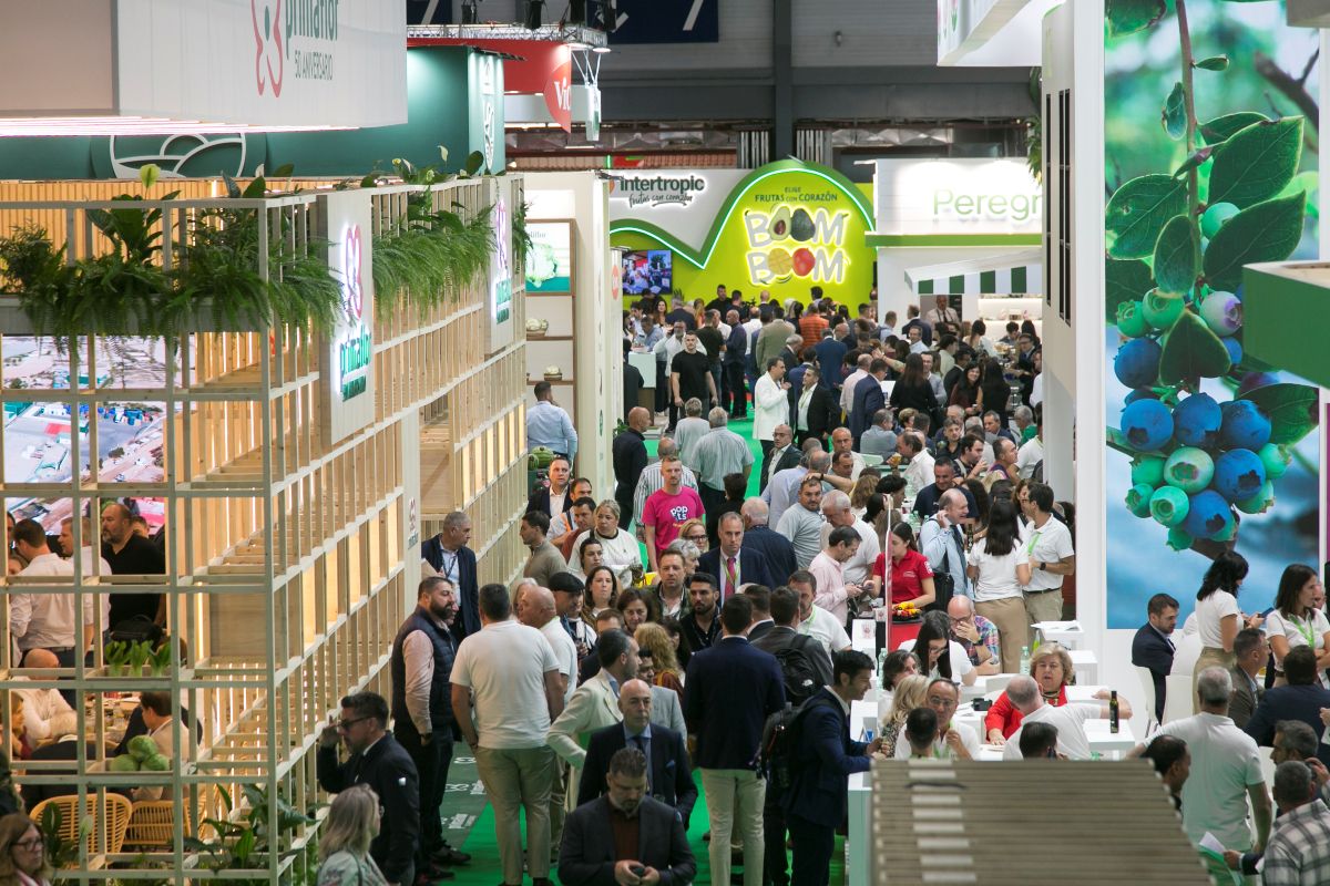 AsocFeriasEsp's tweet photo. 📈 @FruitAttraction 2026 genera 419 millones de euros y más de 3.100 empleos en Madrid en su edición récord en @IFEMA.

ℹ️ Más info: https://t.co/8X5W8xAwKz

#FruitAttraction26
#AsocFeriasEsp #feriasComerciales #Exhibitions https://t.co/kHK4SwAWJd