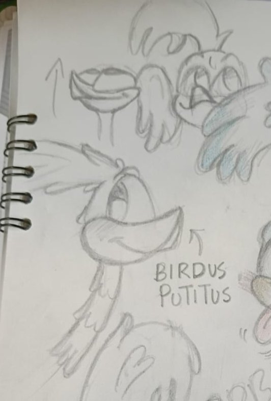 sofi_x07's tweet photo. RoadRunner/Correcaminos eres muy dibujable. 

#roadrunner #correcaminos #looneytunesㅤㅤㅤ https://t.co/7eN8zjCMGY