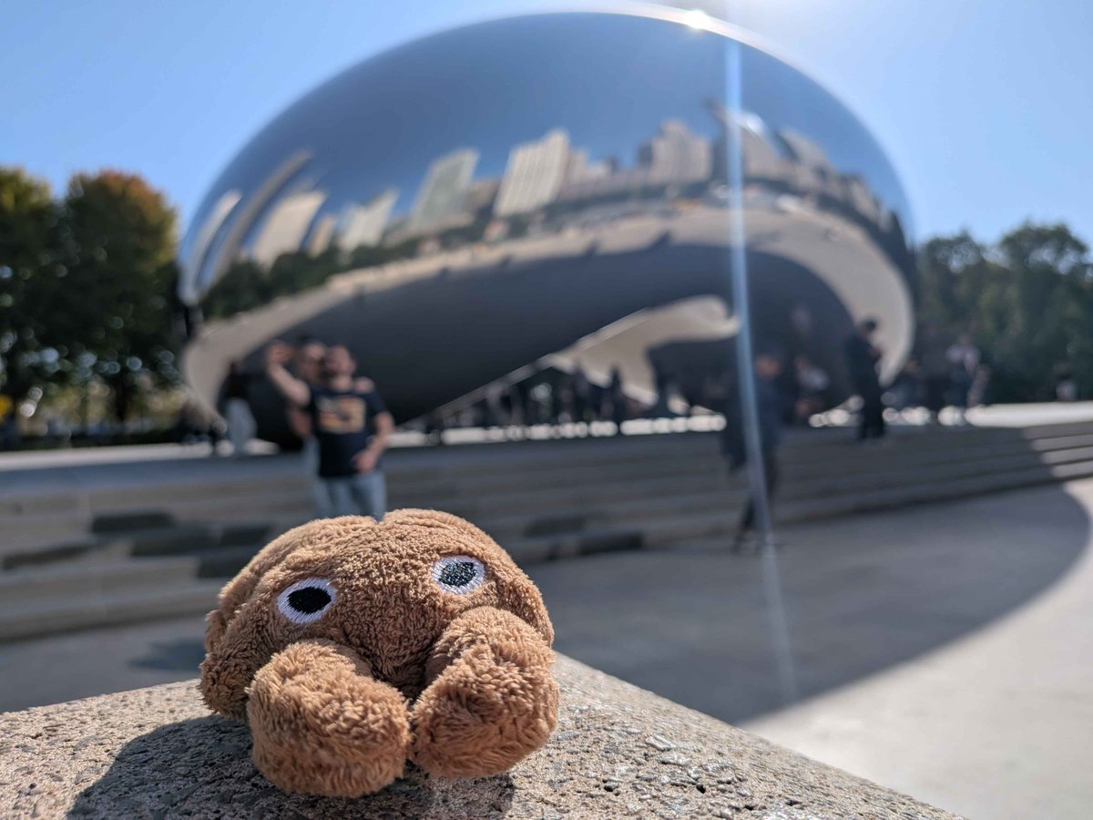 0rdonian's tweet photo. The bean https://t.co/YQ6X1S6kyD