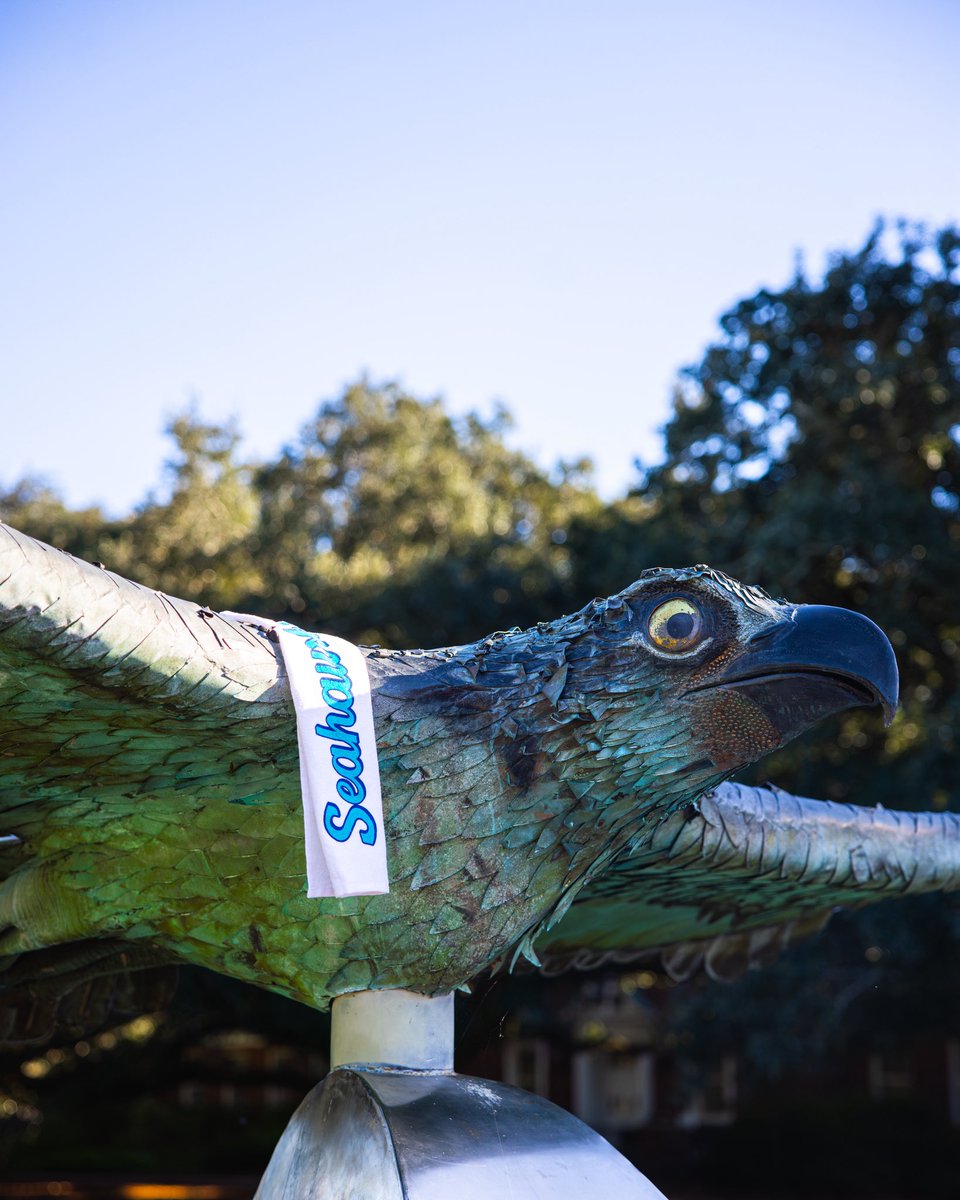 uncwswimdive's tweet photo. BRING THE NOISE, SEAHAWKS! ๐ฃ๏ธ
Grab your Seahawk rally towel at the meet against UVA this Saturday!
#SeahawkSwimDive https://t.co/7eVct8qEuy