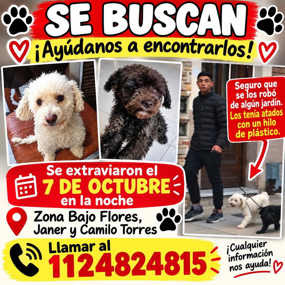 misuperamigo's tweet photo. 🚨 URGENTE LOS ROBARON 🆘
Difundir 🙏
Se extraviaron el 7 de octubre por la noche en Bajo Flores, Janer y Camilo Torres.
⚠️ Un hombre fue visto con ellos, intentando venderlos. Los llevaba atados con un hilo de plástico

💔 Sus dueños los buscan desesperadamente.
📞 1124824815 https://t.co/RdzN8CEuUB