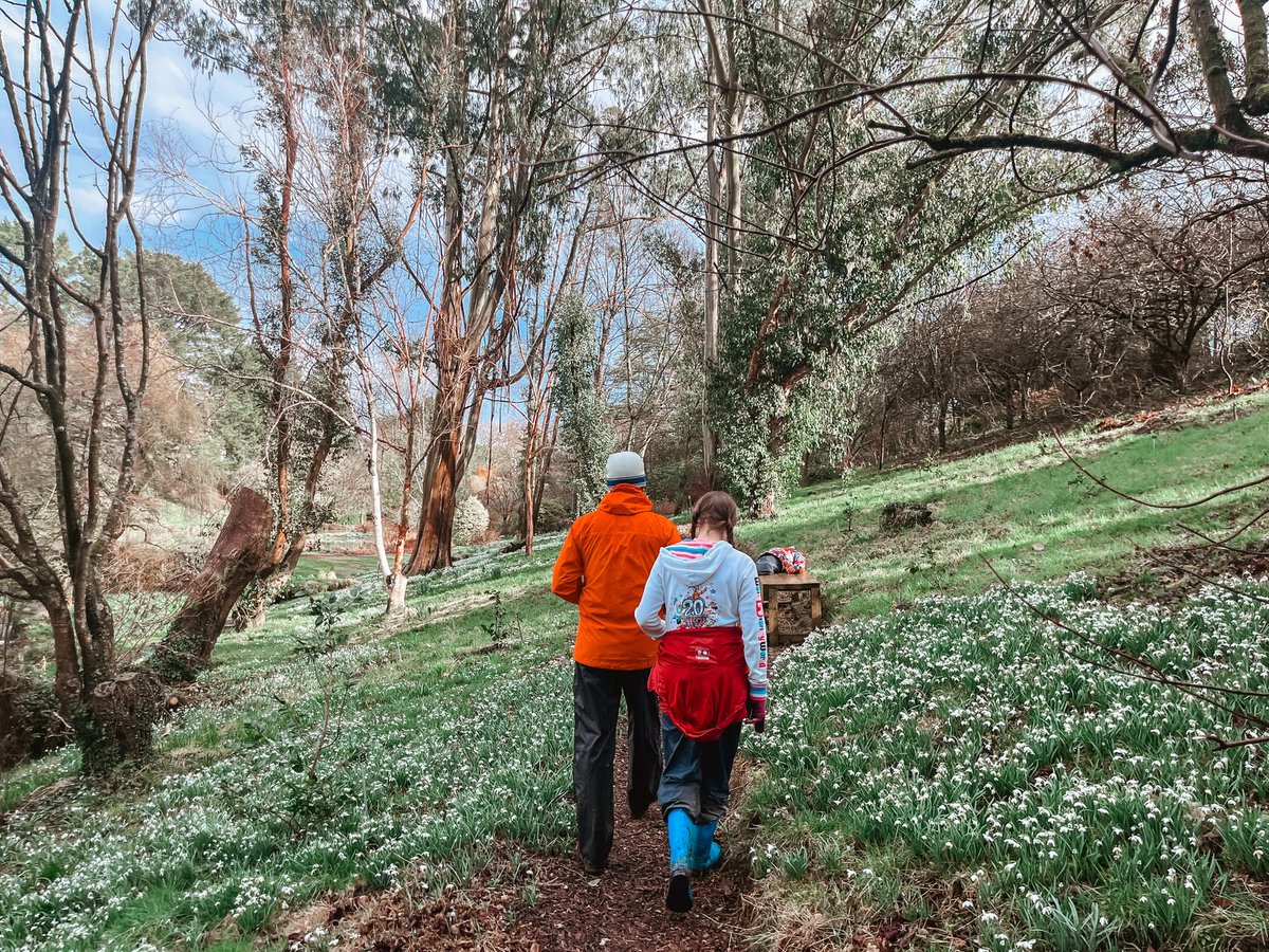 VisitDevon's tweet photo. October half term is calling... 🍂🎃

From spooky adventures and pumpkin fun to autumn days out, coastal walks and cosy places to stay, Devon has plenty to fill the school holidays.

Click here 👉 https://t.co/fOREOWkVf4 https://t.co/qvMGpnHIA6