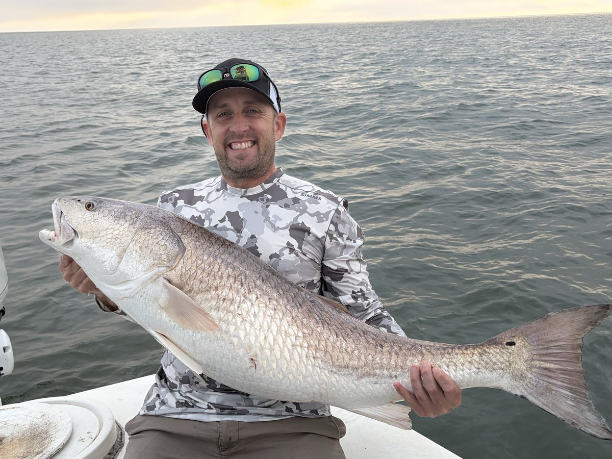 Fish_In_Chatham's tweet photo. Got some nice #bulldrum on the #Chesapeakebay recently https://t.co/edd31YgFxF