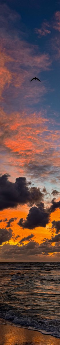 purelivn's tweet photo. sunset https://t.co/Z4mjdrDQmw