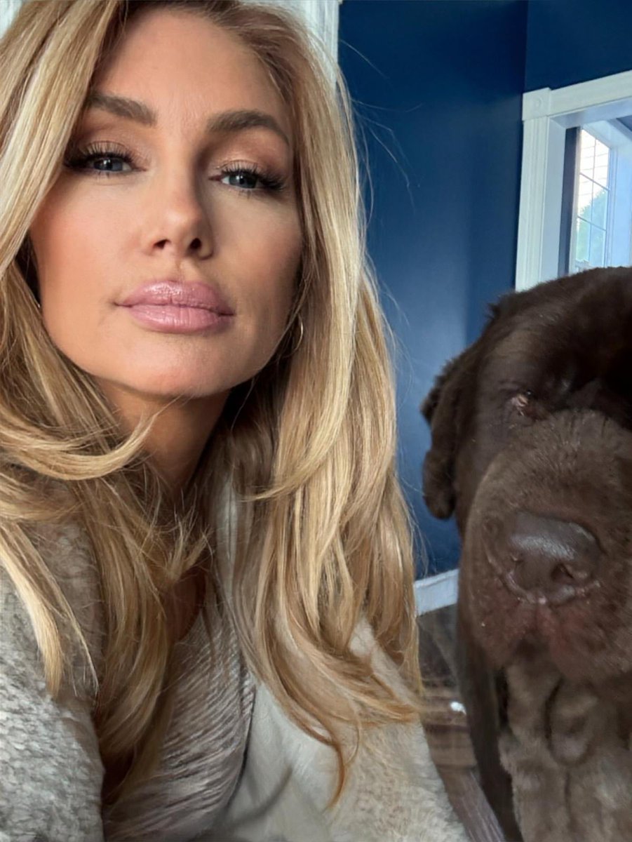 BrandenRoderick's tweet photo. Why did the dog sit in the shade?

Because he didn't want to be a hot dog. 🌭🐶

😂 Happy Thursday folks! https://t.co/BOkA19vawD