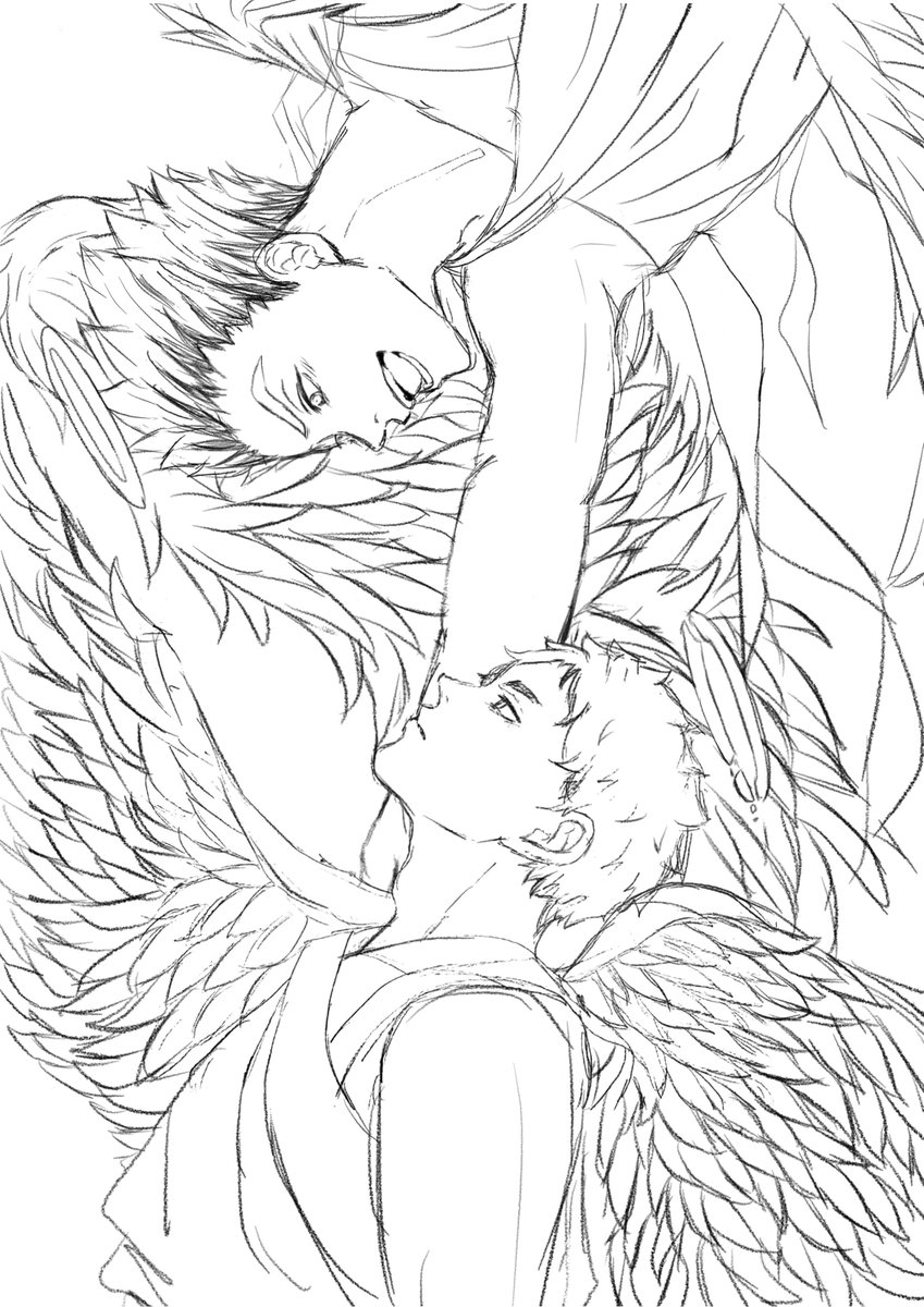 tumuri_mkg's tweet photo. 天使ﾊﾟﾛ 線画🦉🪽
#週一の絵描き https://t.co/YBa42snHS7