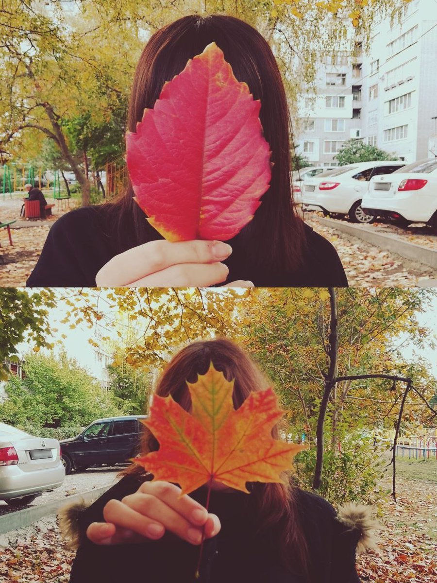 At_Bel2104's tweet photo. 🎃🍁🍂 https://t.co/MjPTzhOIjw