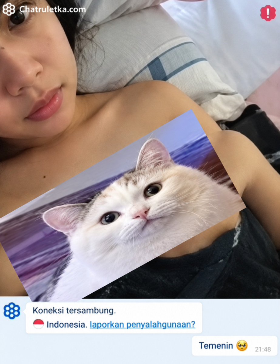 maypetsy tweet picture